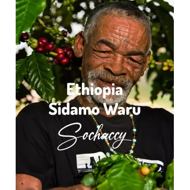 Etiopia Sidamo Waru | Świeżo Palona Arabica | Kawa Ziarnista