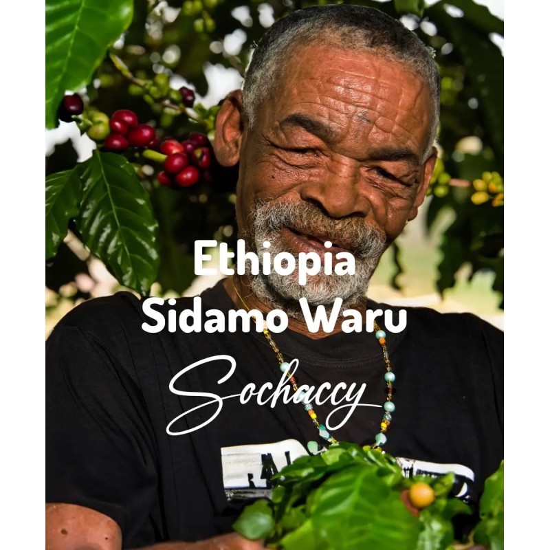 Kawa ziarnista Etiopia Sidamo Waru Rzemieślnicza Palarnia Kawy - Plantator kawy z Etiopii