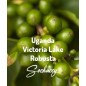 Uganda Victoria Lake | Freshly Roasted Robusta | Grain Coffee