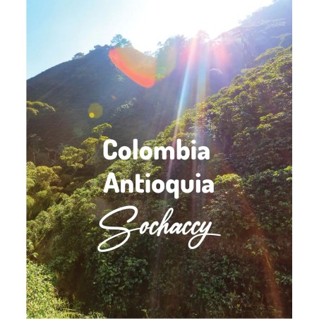 Kolumbia Antioquia | Świeżo Palona Arabica | Kawa Ziarnista