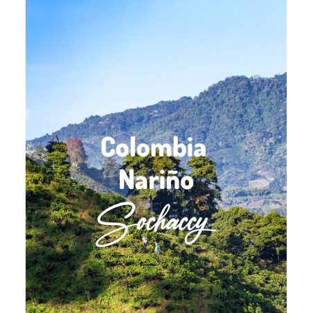 Colombia Nariño | Freshly Roasted Arabica | Coffee Bean