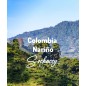 Kolumbia Nariño | Świeżo Palona Arabica | Kawa Ziarnista