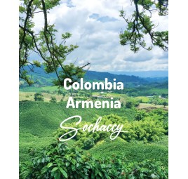 Colombia Armenia Excelso | Freshly Roasted Arabica | Coffee Bean Coffee Colombia | Sochaccy.Co |