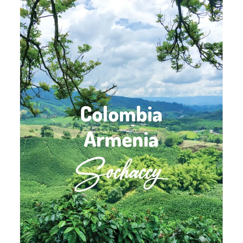 Colombia Armenia Excelso | Freshly Roasted Arabica | Coffee Bean Coffee Colombia | Sochaccy.Co |