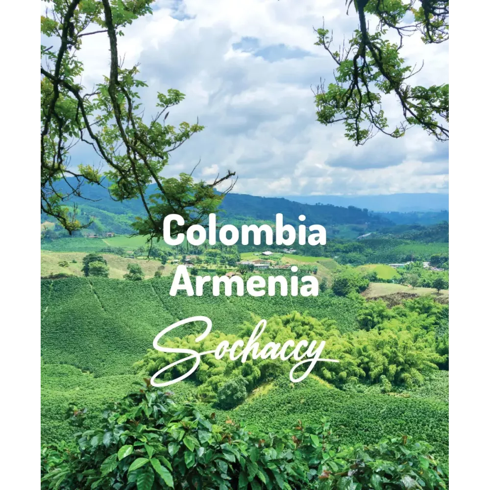 Kolumbia Armenia Excelso Świeżo Palona Arabica Kawa Ziarnista