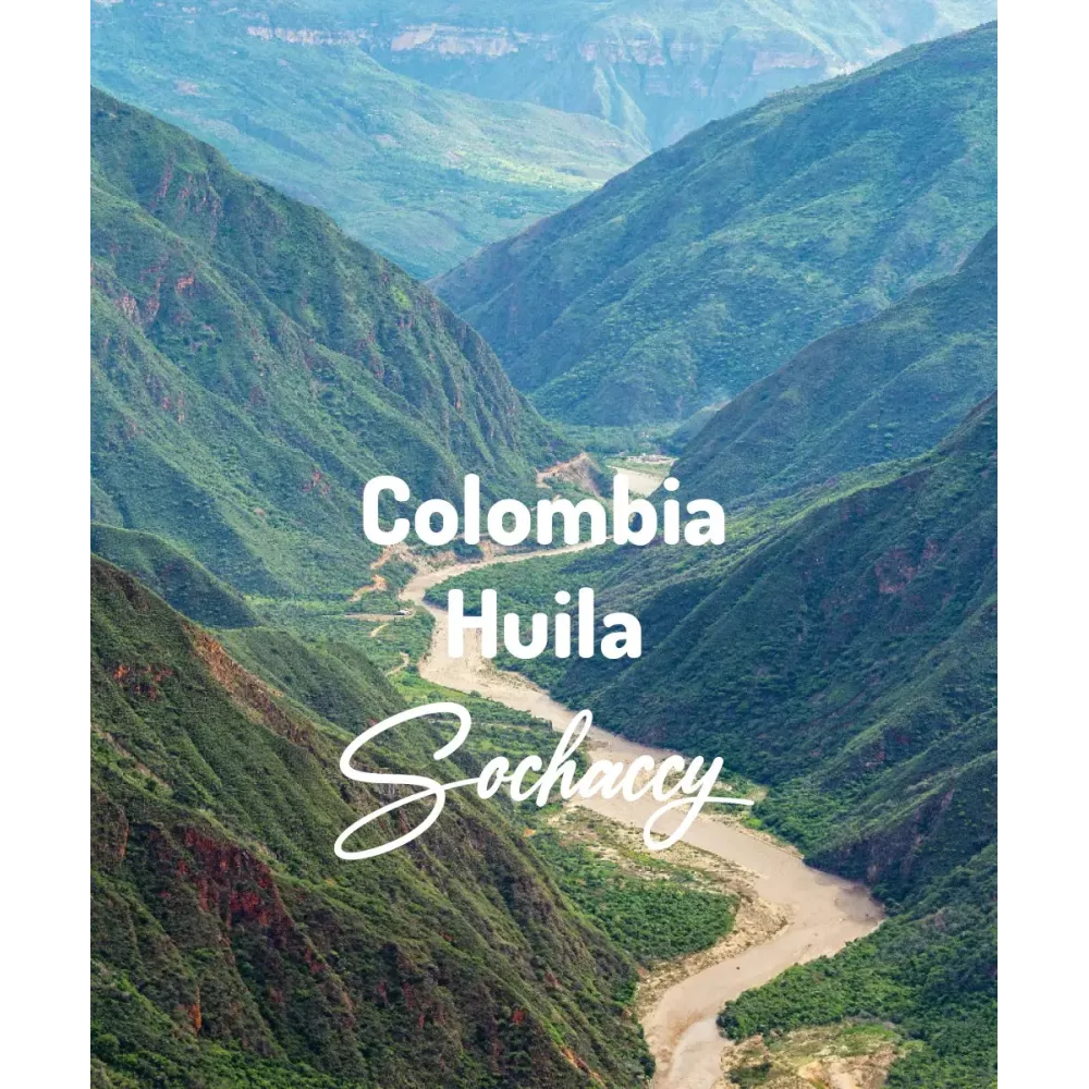 Kolumbia Huila Excelso Świeżo Palona Arabica Kawa Ziarnista Rzemieślnicza Palarnia Kawy