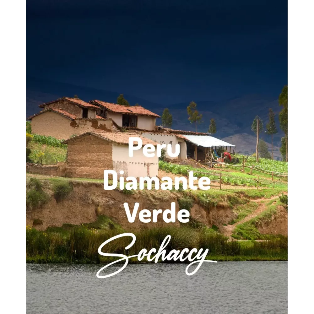 Peru Diamante Verde Świeżo Palona Arabica Kawa Ziarnista