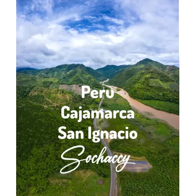 Peru Cajamarca San Ignacio | Świeżo Palona Arabica | Kawa Ziarnista