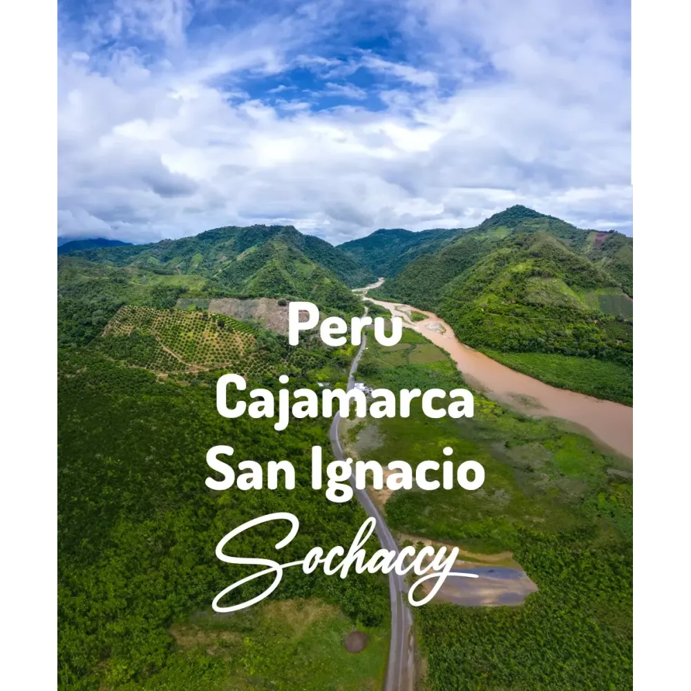 Peru Cajamarca San Ignacio Świeżo Palona Arabica Kawa Ziarnista