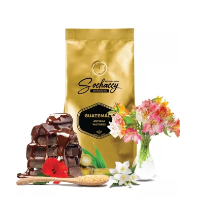 Jak smakuje kawa Gwatemala Antigua Pastores Świeżo Palona Arabica Kawa Ziarnista