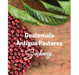 Gwatemala Antigua Pastores Świeżo Palona Arabica Kawa Ziarnista