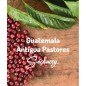 Gwatemala Antigua Pastores | Świeżo Palona Arabica | Kawa Ziarnista