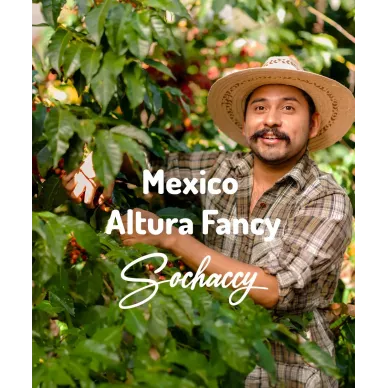 Meksyk Altura Fancy | Świeżo Palona Arabica | Kawa Ziarnista