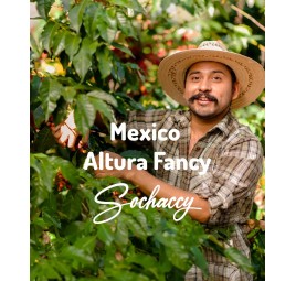 Mexico Altura Fancy Freshly Roasted Arabica Bean Coffee