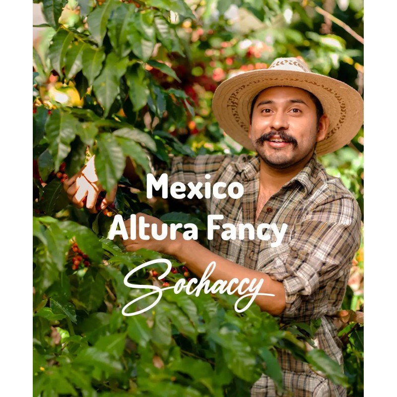 Mexico Altura Fancy Freshly Roasted Arabica Bean Coffee