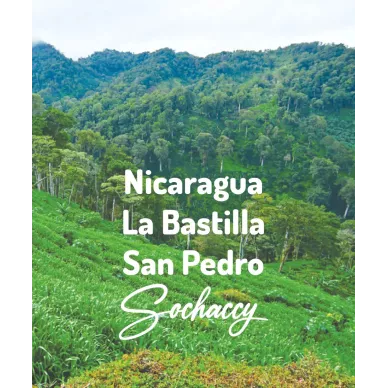 Nikaragua La Bastilla San Pedro | Świeżo Palona Arabica | Kawa Ziarnista