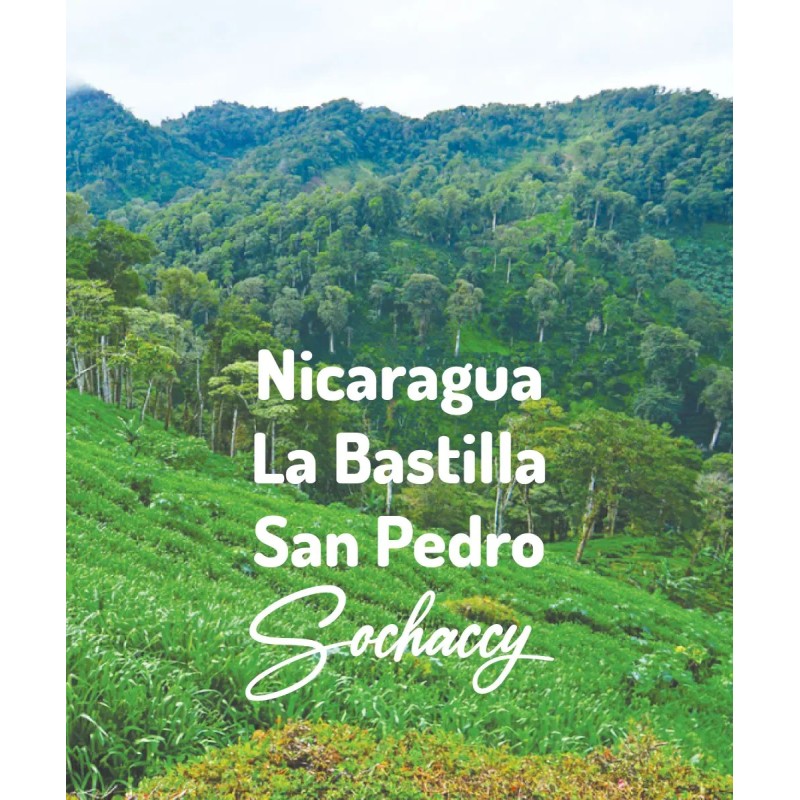 Nicaragua La Bastilla San Pedro | Freshly Roasted Arabica | Coffee Bean Coffee Nicaragua | Sochaccy.Co |