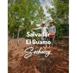 Salwador El Guamo Świeżo Palona Arabica Kawa Ziarnista