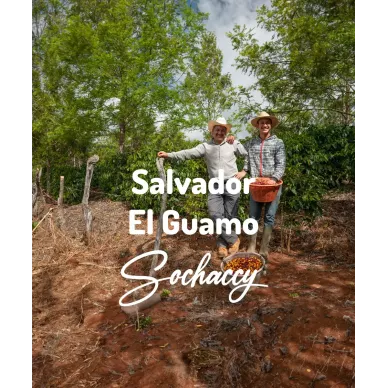 Salwador El Guamo | Świeżo Palona Arabica | Kawa Ziarnista