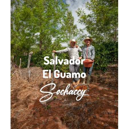 Salwador El Guamo | Świeżo Palona Arabica | Kawa Ziarnista