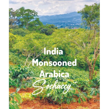 India Monsooned AA | Freshly Roasted Arabica | Coffee Bean