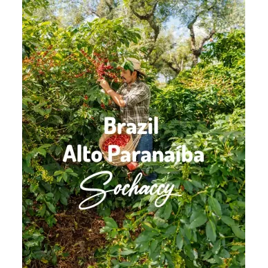 Brazylia Alto Paranaíba | Świeżo Palona Arabica | Kawa Ziarnista