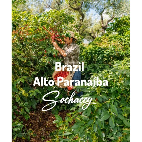 Brazylia Alto Paranaíba | Świeżo Palona Arabica | Kawa Ziarnista