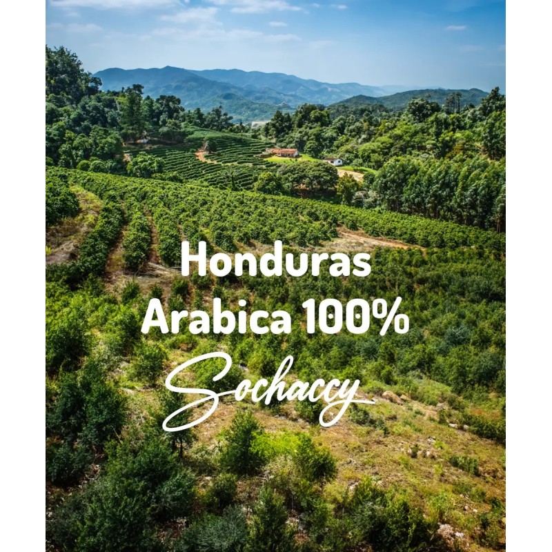 Honduras Arabica 100% Świeżo Palona Kawa Ziarnista