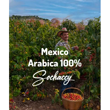 Meksyk Arabica 100% 1kg | Świeżo Palona | Kawa Ziarnista