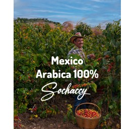 Mexico Arabica 100% 1kg | Freshly Roasted | Grain Coffee Coffee Coffee Best Price | Sochaccy.Co |