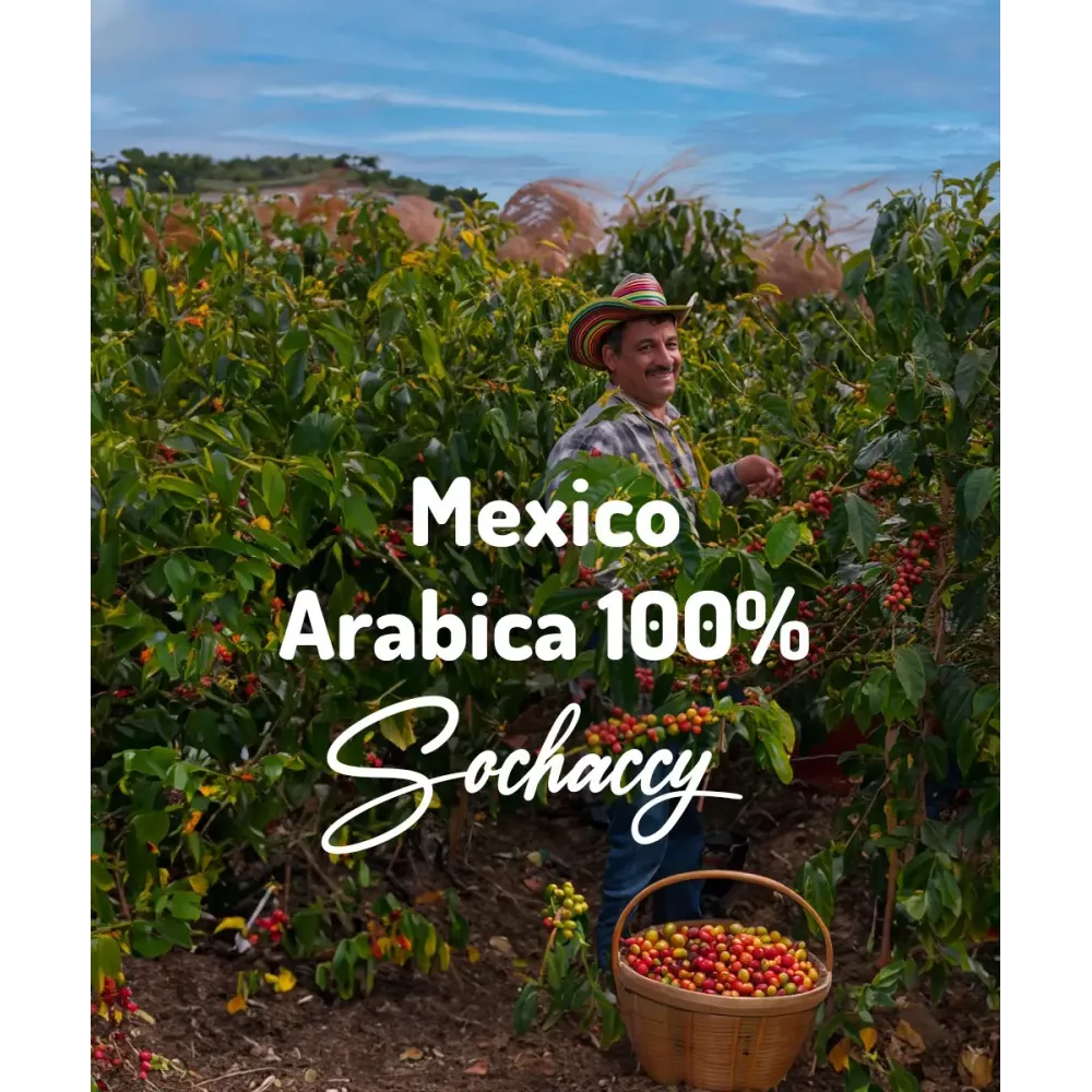 Kawa Meksyk Arabica 100% 1kg Świeżo Palona Kawa Ziarnista