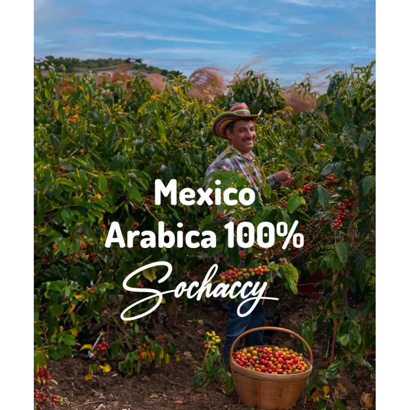 Mexico Arabica 100% 1kg | Freshly Roasted | Grain Coffee Coffee Coffee Best Price | Sochaccy.Co |