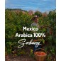 Mexico Arabica 100% 1kg | Freshly Roasted | Grain Coffee