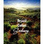 Brazylia Cetec | Świeżo Palona Arabica | Kawa Ziarnista