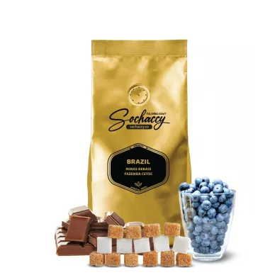 Jak smakuje kawa Brazylia Cetec Świeżo Palona Arabica Kawa Ziarnista Rzemieślnicza Palarnia Kawy