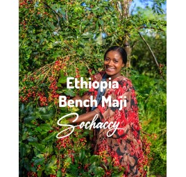 Kawa Etiopia Bench Maji | Świeżo Palona Arabica | Kawa Ziarnista Rzemieślnicza Palarnia Kawy