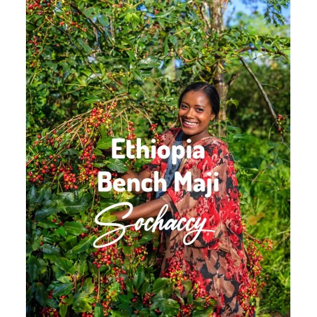 Etiopia Bench Maji | Świeżo Palona Arabica | Kawa Ziarnista