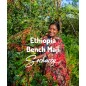 Ethiopia Bench Maji | Freshly Roasted Arabica | Coffee Bean.