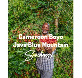 Kawa Kamerun Boyo Świeżo Palona Arabica Kawa Ziarnista Rzemieślnicza Palarnia Kawy