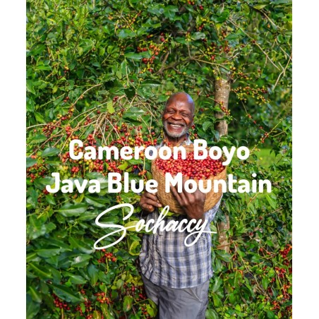 Cameroon Boyo | Freshly Roasted Arabica | Grain Coffee