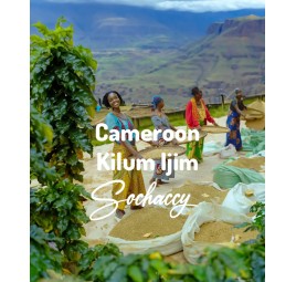 Cameroon Kilum Ijim | Freshly Roasted Arabica | Coffee Bean. Coffee Cameroon | Sochaccy.Co |