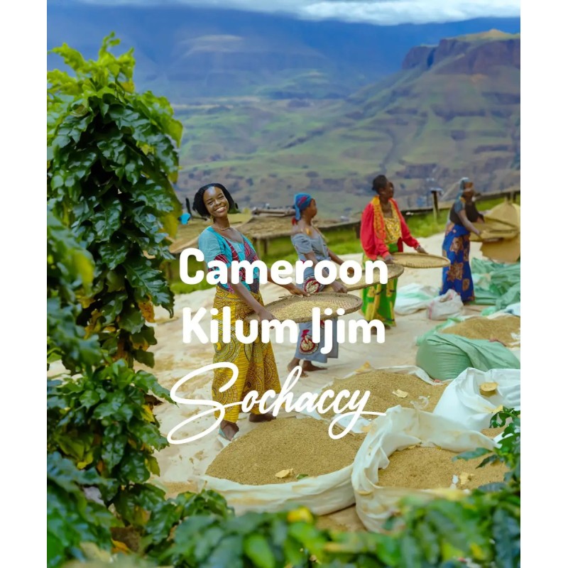 Cameroon Kilum Ijim | Freshly Roasted Arabica | Coffee Bean. Coffee Cameroon | Sochaccy.Co |