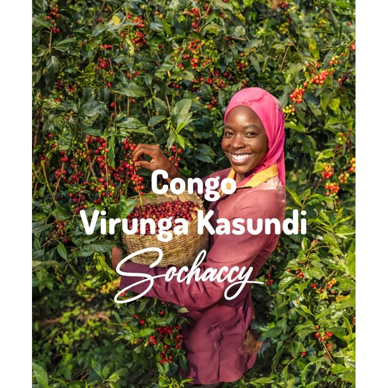 Congo Virunga Kasundi | Freshly Roasted Arabica | Coffee Bean Coffee Congo | Sochaccy.Co |