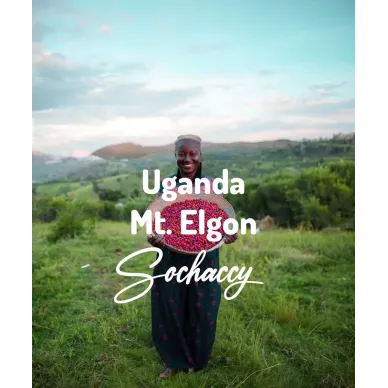 Uganda Mt. Elgon | Świeżo Palona Arabica | Kawa Ziarnista