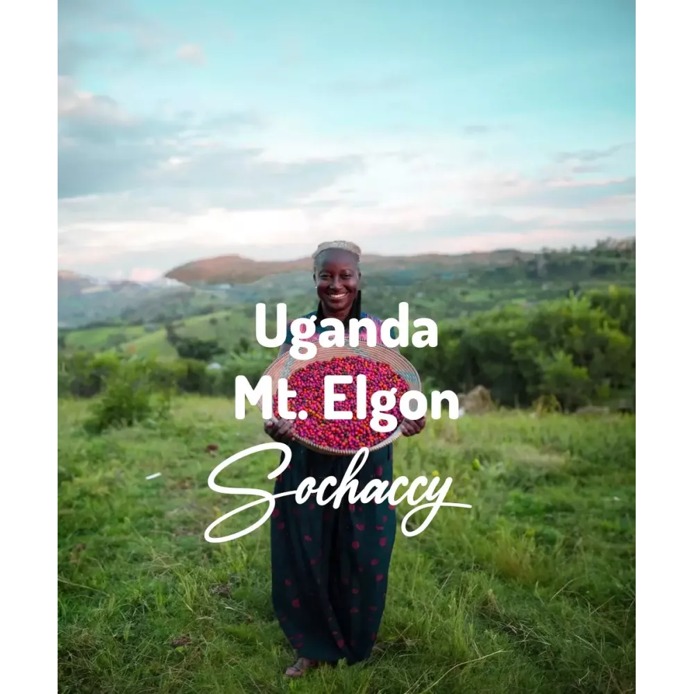Kawa Uganda Mt. Elgon Świeżo Palona Arabica Kawa Ziarnista Rzemieślnicza Palarnia Kawy.