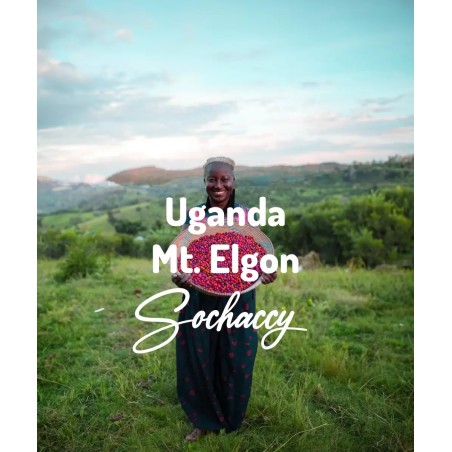 Uganda Mt. Elgon | Świeżo Palona Arabica | Kawa Ziarnista
