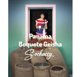 Kawa Panama Boquete Geisha | Świeżo Palona Arabica | Kawa Ziarnista | Sochaccy.Co |Panama