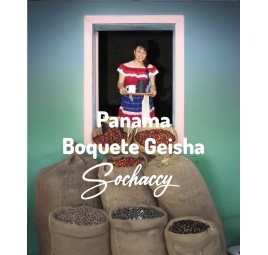 Panama Boquete Geisha | Freshly Roasted Arabica | Coffee Bean Coffee Panama | Sochaccy.Co |