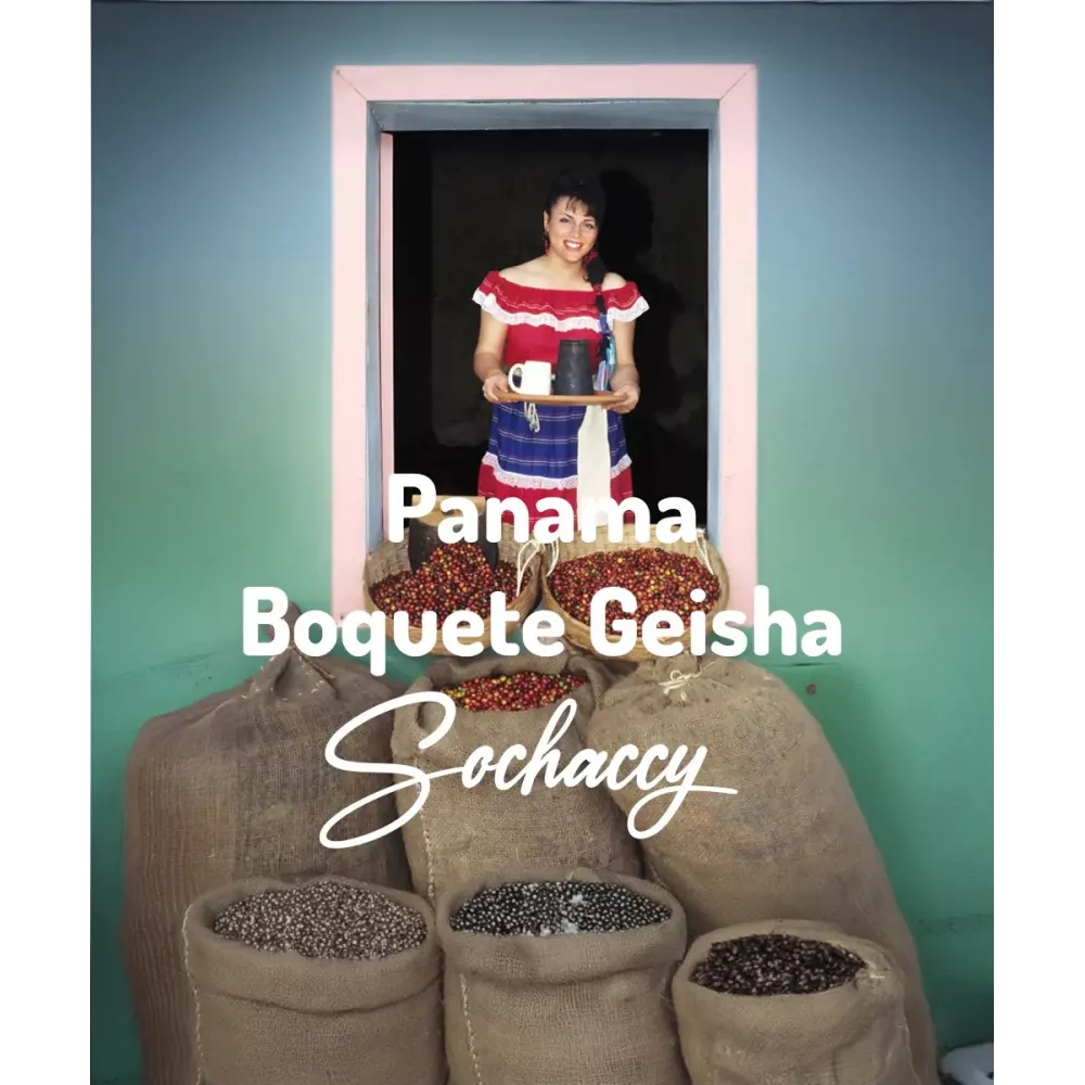 Kawa Panama Boquete Geisha Świeżo Palona Arabica Rzemieślnicza Kawa Ziarnista