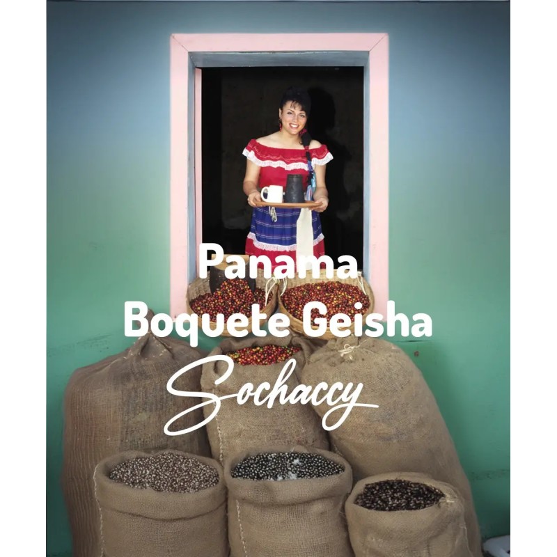 Panama Boquete Geisha | Freshly Roasted Arabica | Coffee Bean Coffee Panama | Sochaccy.Co |